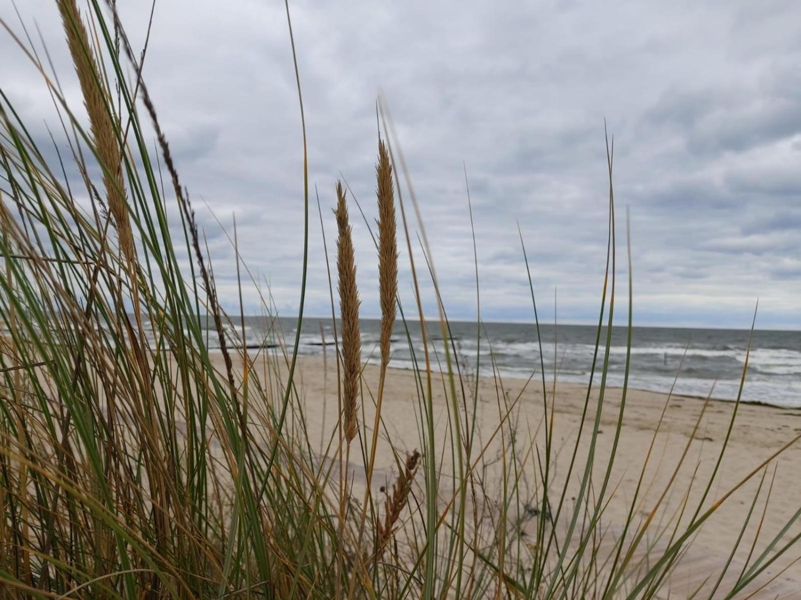 Ostsee Ferienhaus Usedom Hundefreundlich Familie Stopp Haus 22 Lutow Dış mekan fotoğraf