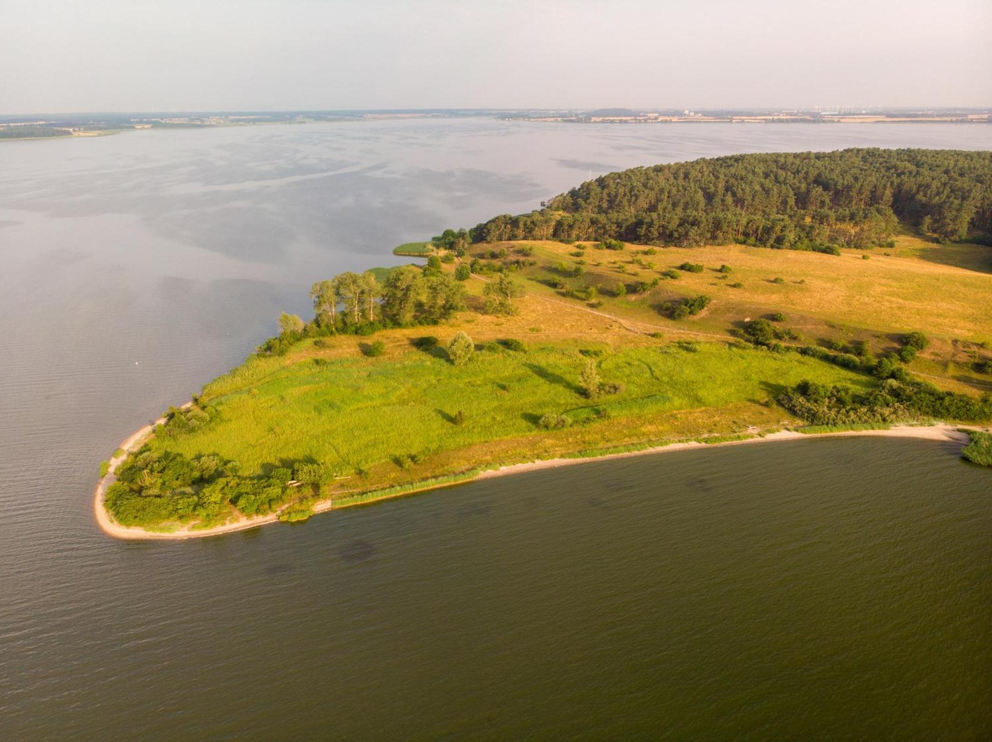 Ostsee Ferienhaus Usedom Hundefreundlich Familie Stopp Haus 22 Lutow Dış mekan fotoğraf